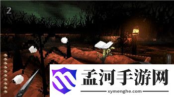 《伊洛納》大量獲得蔬菜的秘密：蔬菜獲取技巧全解析